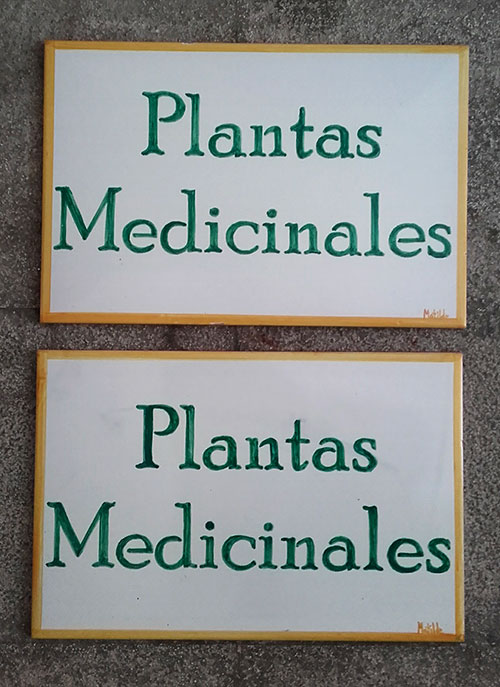 Plantas1